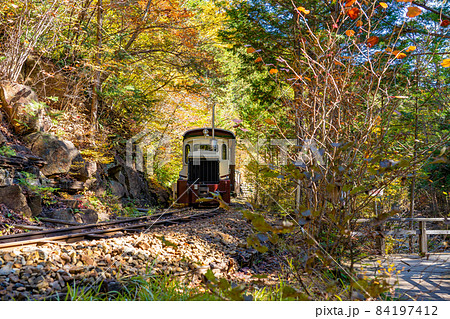 長野県上松町 赤沢自然休養林の中を走り抜ける森林鉄道のオープントロッコの車両と遊歩道 長野県上松町 赤沢自然休養林の中を走り抜ける森林鉄道のオープントロッコの車両と遊歩道 84197412