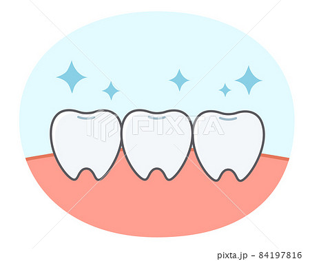 歯と歯茎のシンプルで可愛いイラストのイラスト素材