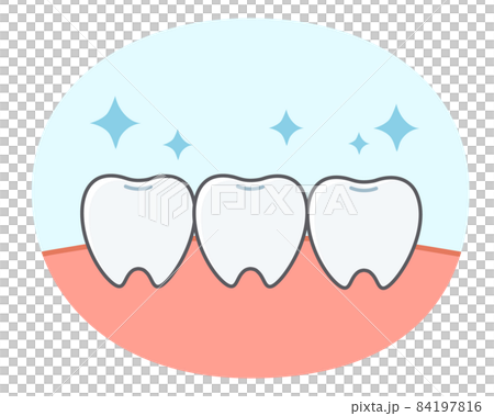 歯と歯茎のシンプルで可愛いイラスト 歯と歯茎のシンプルで可愛いイラスト 84197816