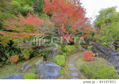 紅葉真っ盛りの當麻寺奥の院 紅葉真っ盛りの當麻寺奥の院 84197831