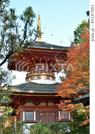 忍辱山　円成寺(多宝塔)　【奈良県奈良市忍辱山町】 84197981