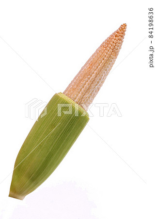 Baby corn (also known as young corn, cornlets or baby sweetcorn) 84198636