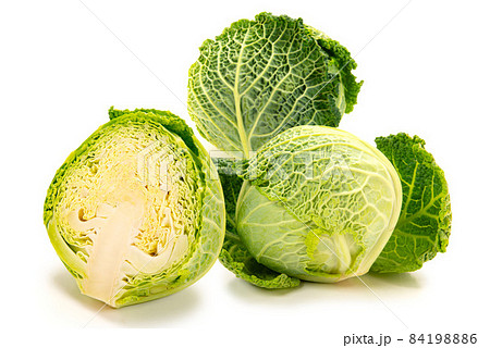 西洋野菜のサボイキャベツ 84198886