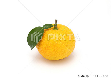 柚子 84199328