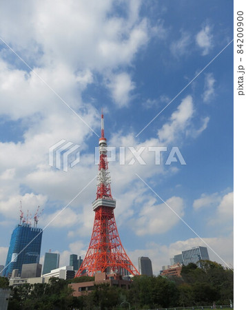 芝公園からみえる東京タワー 芝公園からみえる東京タワー 84200900