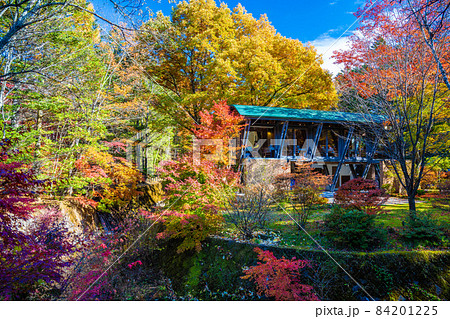 軽井沢の紅葉 軽井沢の紅葉 84201225
