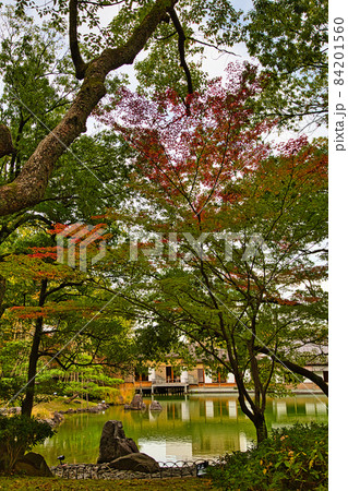 養浩館庭園 84201560