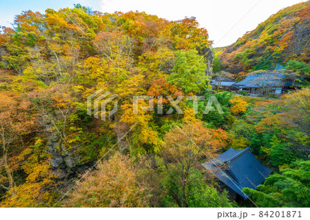 秋の布引観音 秋の布引観音 84201871