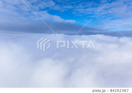 Winter Forest clouds Landscape aerial view trees background Travel serene scenery 84202367