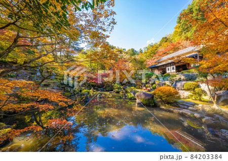 洞窟観音徳明園の紅葉 84203384