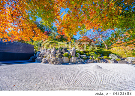 洞窟観音徳明園の紅葉 洞窟観音徳明園の紅葉 84203388