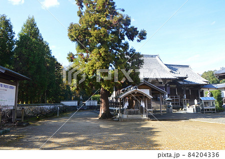 四国八十八カ所霊場の5番札所・地蔵寺(徳島県板野郡板野町羅漢字林東5) 四国八十八カ所霊場の5番札所・地蔵寺(徳島県板野郡板野町羅漢字林東5) 84204336