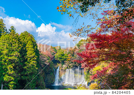 紅葉シーズンの白糸の滝と虹【静岡県】 紅葉シーズンの白糸の滝と虹【静岡県】 84204405