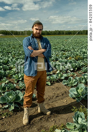 Full length portrait of frowning Caucasian agroengineer in hat standing with crossed arms on cabbage field and squinting because of sun Full length portrait of frowning Caucasian agroengineer in hat standing with crossed arms on cabbage field and squinting because of sun 84205509