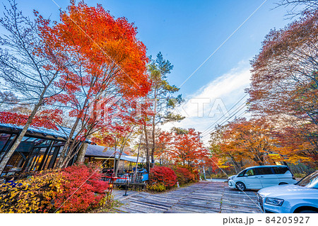 八ヶ岳倶楽部の紅葉 84205927