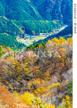 秋の茶臼山高原からの眺望 84206019