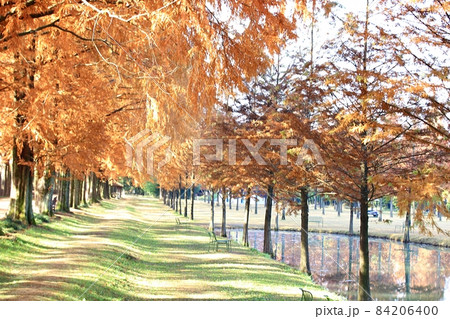 紅葉 観光地 湖 84206400