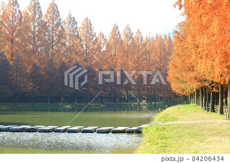紅葉 観光地 湖 84206434
