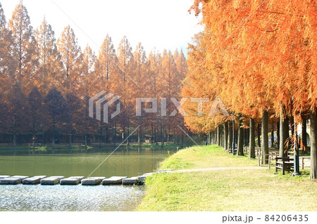 紅葉 観光地 湖 84206435