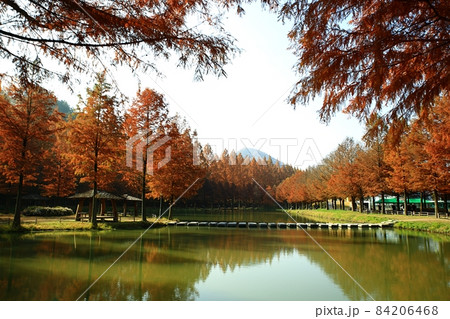 紅葉 観光地 湖 84206468