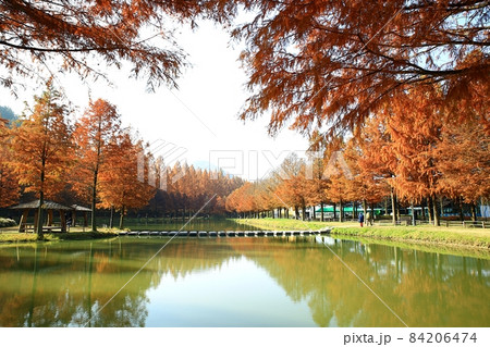 紅葉 観光地 湖 84206474