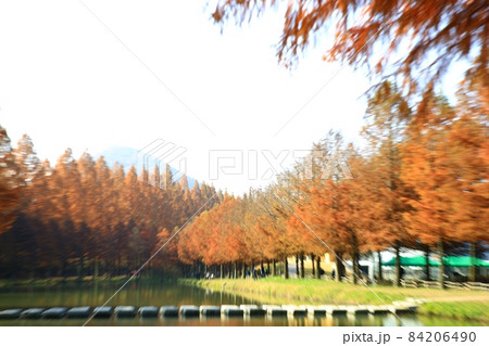 紅葉 観光地 湖 84206490