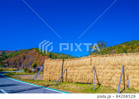 売木村の秋の風景 売木村の秋の風景 84206529