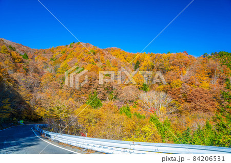 平谷峠の紅葉 84206531