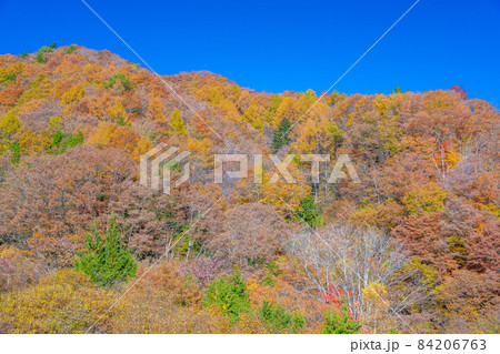平谷峠の紅葉 平谷峠の紅葉 84206763