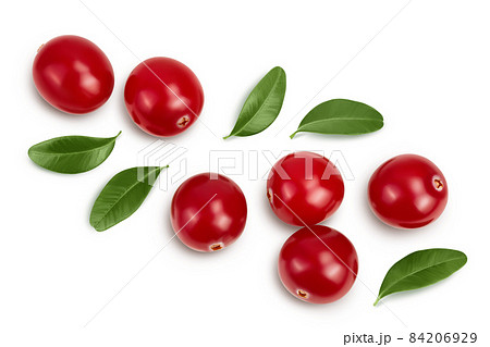 Cranberry with leaves isolated on white background with clipping path and full depth of field. Top view. Flat lay Cranberry with leaves isolated on white background with clipping path and full depth of field. Top view. Flat lay 84206929