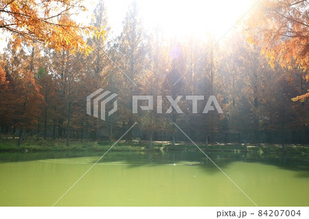 紅葉 観光地 湖 84207004