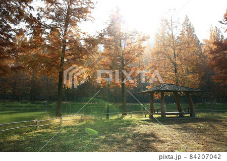 紅葉 観光地 湖 84207042