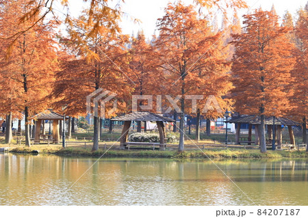 紅葉 観光地 湖 84207187