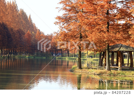 紅葉 観光地 湖 84207228