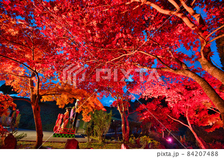 道の駅なんごうの紅葉ライトアップ 道の駅なんごうの紅葉ライトアップ 84207488