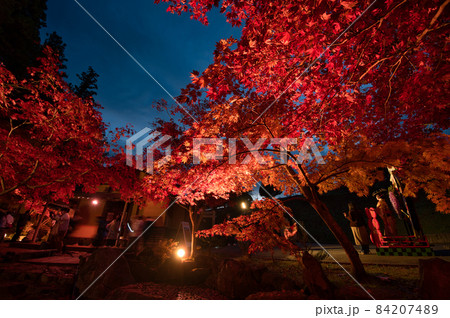 道の駅なんごうの紅葉ライトアップ 84207489