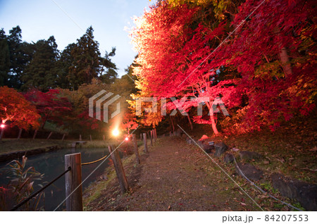 道の駅なんごうの紅葉ライトアップ風景 道の駅なんごうの紅葉ライトアップ風景 84207553