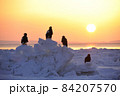 朝日を背に佇む大鷲 84207570