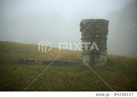 自然 樹木 霧 84208157