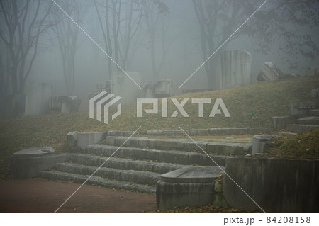 自然 樹木 霧 84208158