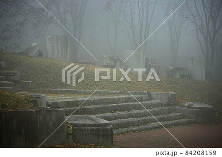 自然 樹木 霧 84208159