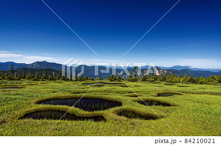 夏の苗場山山上湿原から見る鳥甲山・岩菅山・妙高山・北アルプス 84210021