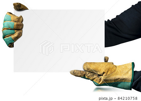 Hands with Work Gloves Holding a Blank Banner isolated on white Hands with Work Gloves Holding a Blank Banner isolated on white 84210758