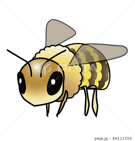 Illustration of a cute bee seen diagonally from... - Stock ...