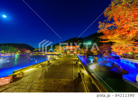 勝尾寺　夜間拝観2021秋15 84211390