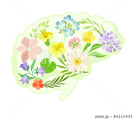 Brain with flowers and leaves. Healthy blooming human internal organ vector illustration 84211435