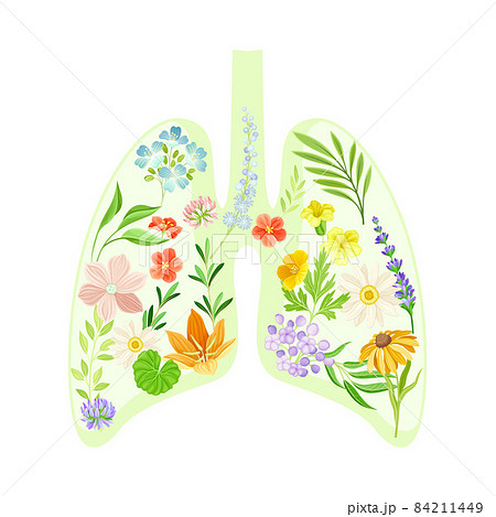 Anatomical lungs with flowers and leaves. Healthy blooming human internal organ vector illustration 84211449