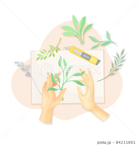 Hands creating herbarium from dried plants and flowers. Top view of creative work process, hobby and craft concept vector illustration 84211601