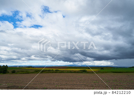 北海道　美瑛　五稜の風景 84212210
