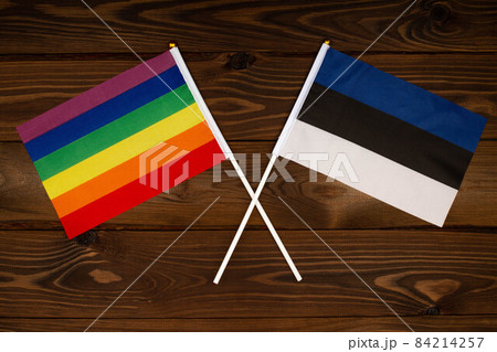 Rainbow flag LGBT and flag of Estonia on beautiful brown background with wooden texture. LGBT Pride Month. LGBTQ. LGBTQIA. Human rights concept. Close Up. Top view Rainbow flag LGBT and flag of Estonia on beautiful brown background with wooden texture. LGBT Pride Month. LGBTQ. LGBTQIA. Human rights concept. Close Up. Top view 84214257